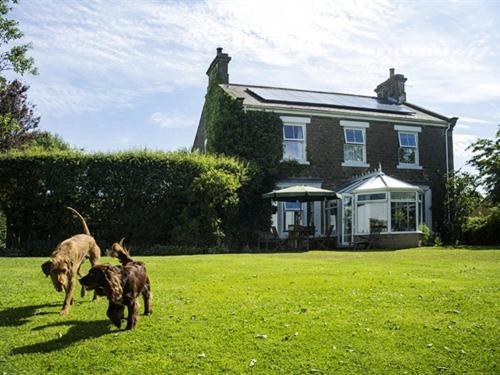 Dowfold House Bed And Breakfast Crook  Luaran gambar